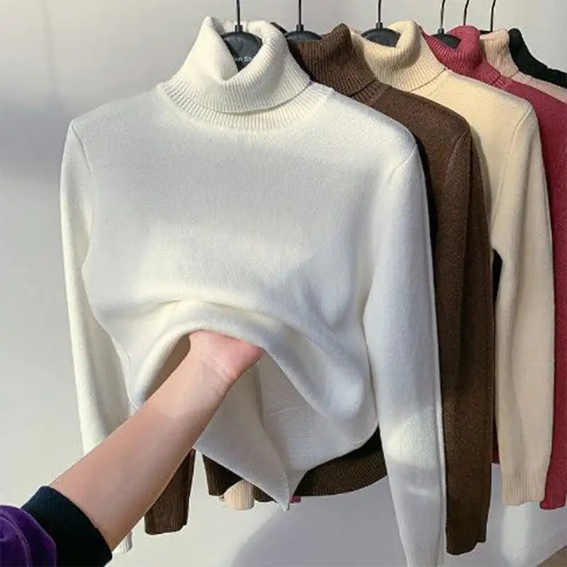 Elegant Turtle Neck Winter Sweater