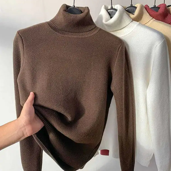 Elegant Turtle Neck Winter Sweater